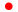 Japanese